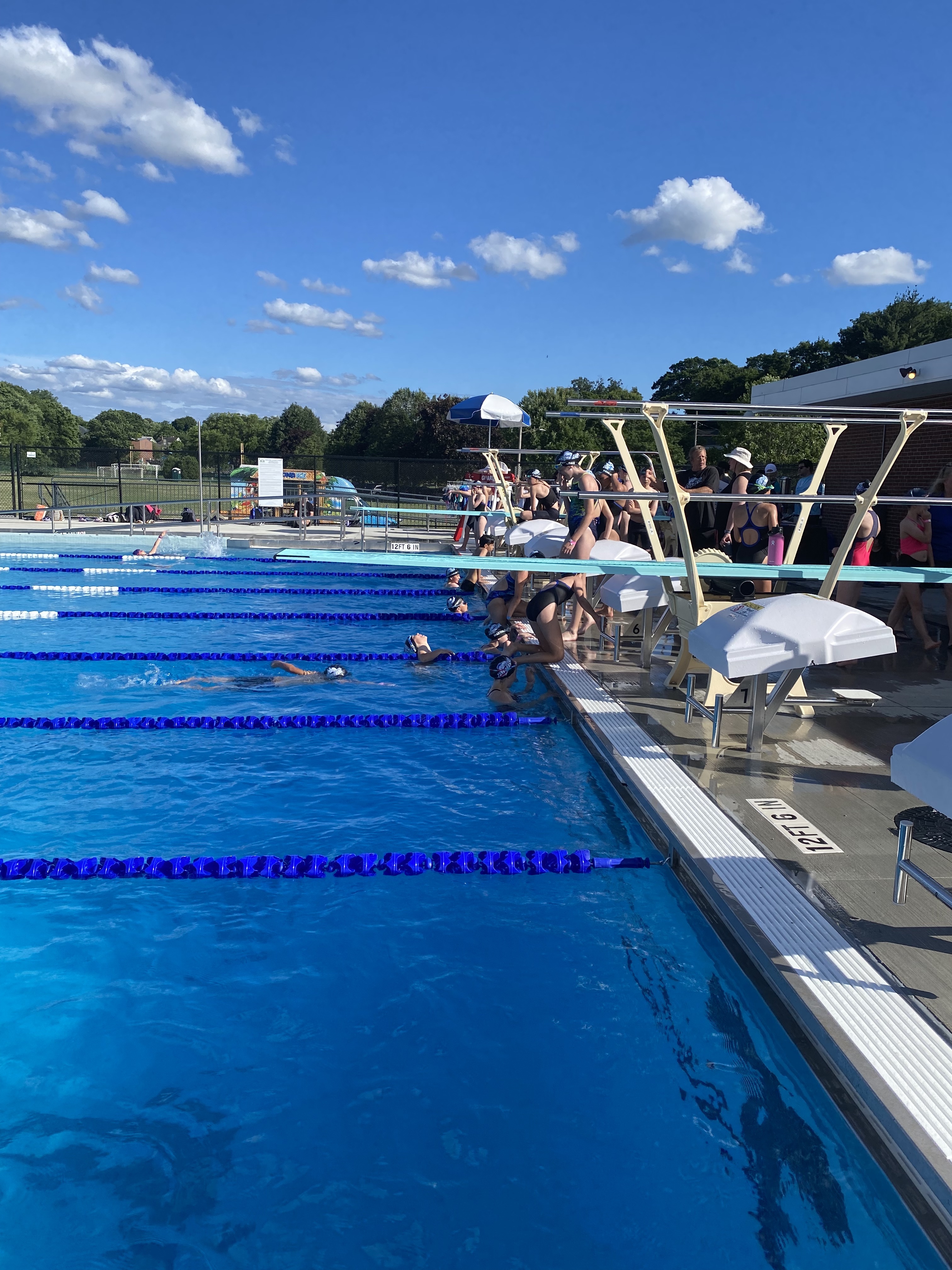 The Pool is Calling! – Friends of Albemarle